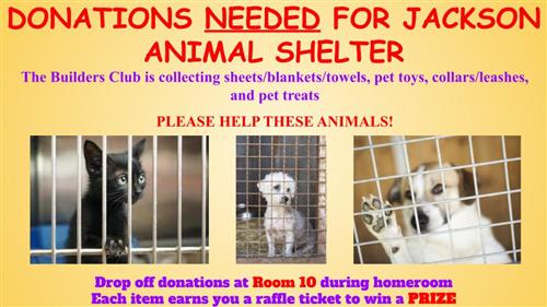 a cat and two dogs in cages